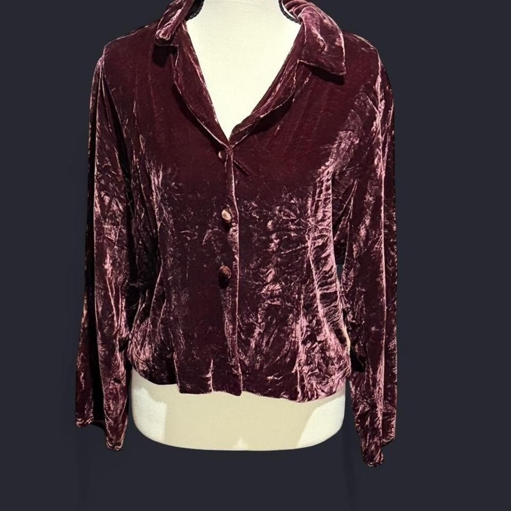 T.T. Mar Maroon Crushed Velvet Button Up 90s Inspired Crop‎ Whimsigoth